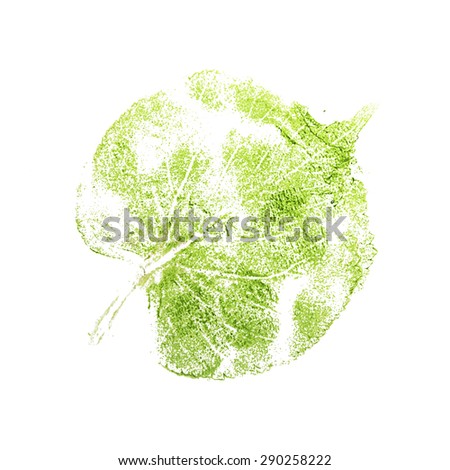 The imprint of a green leaf isolated on white background