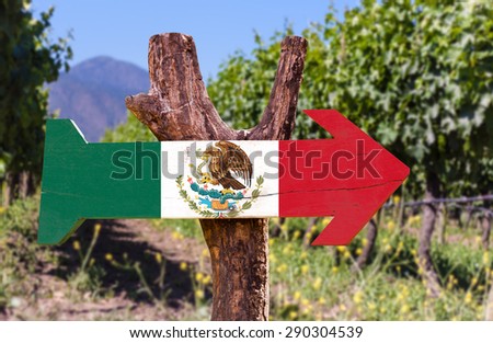Mexico Flag wooden sign with winery background