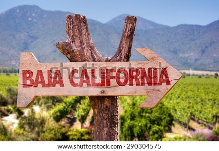 Baja California wooden sign with winery background