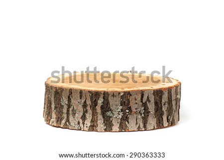 Cross section of tree trunk, isolated on white background Royalty-Free Stock Photo #290363333
