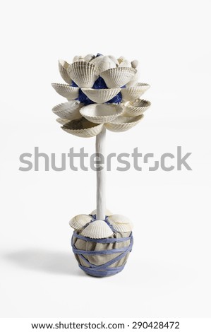 the picture of the topiary with shells over white background