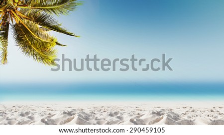 Tropical landscape with coconut palm tree, white sand beach and blurry ocean. Design banner background. 