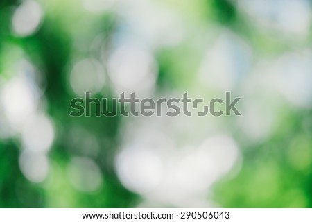 Abstract green bokeh nature for background