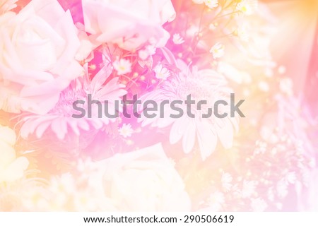Beautiful flowers made with color filters for background