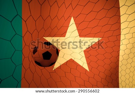 CAMEROON soccer ball Color Vintage
