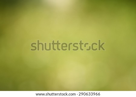 Abstract bokeh green background. Photography at sunny day.