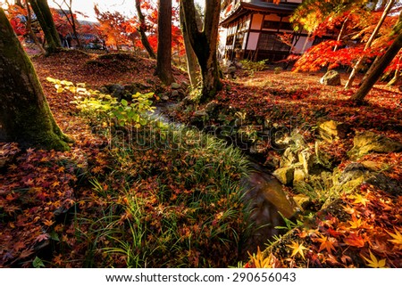 Kyoto Autumn color