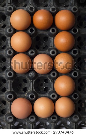 Number nine of eggs from chicken farm in the package