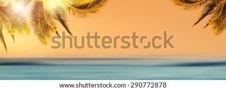 Tropical beach landscape. Design banner background. Coconut palm tree over blurry ocean. Panoramic view.
