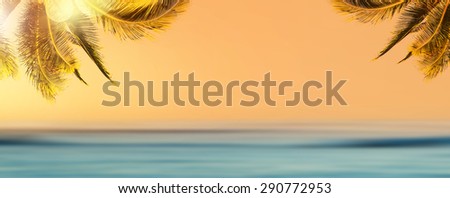 Tropical beach landscape. Design banner background. Coconut palm tree over blurry ocean. Panoramic view.