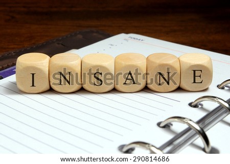 INSANE word written on wood block