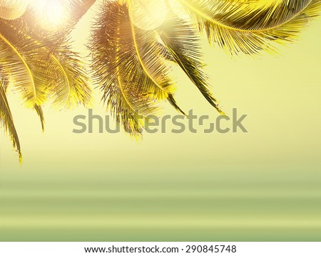 Design banner background. Instagram effect. Tropical landscape with coconut palm tree and blurry ocean. 