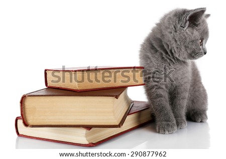 Cute gray kitten with pile of books isolated on white
