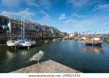 A bored seagull looks out over the harbour at Mevagissey on the south coast of Cornwall