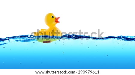 Rubber duck float in water
