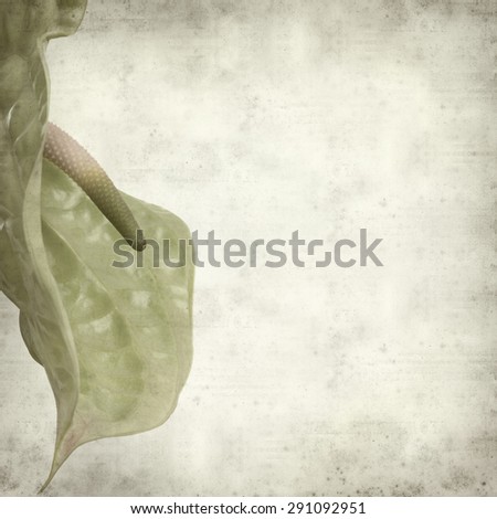 textured old paper background with green Anthurium flower