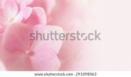  colorful flowers in soft color and blur style for background                              