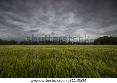 The picture shows a field and an approaching storm.