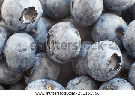 blueberries on a white platter on a wooden table