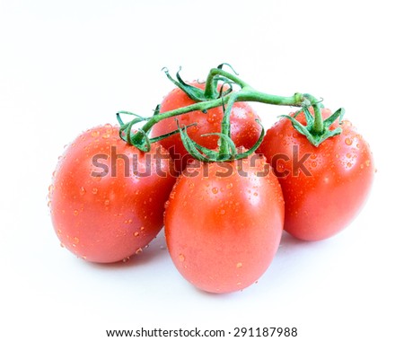 Group of fresh ripe Roma Tomatoes with water drops isolated on white background. Close-up view of Roma tomatoes, also known as Italian tomatoes or Italian plum tomatoes.