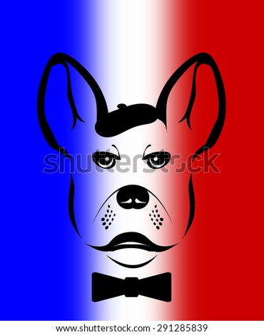 French bulldog icon.