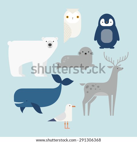 Vector set Arctic and Antarctic animals. Penguin, polar bear, seal, reindeer, whale, snowy owl, albatross. Flat style character illustration