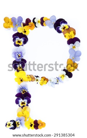 letter P alphabet made from pansy flowers isolated on white background