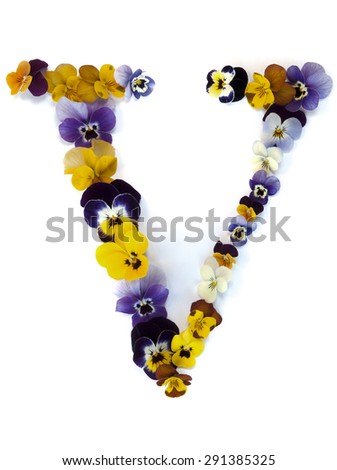 letter V alphabet made from pansy flowers isolated on white background