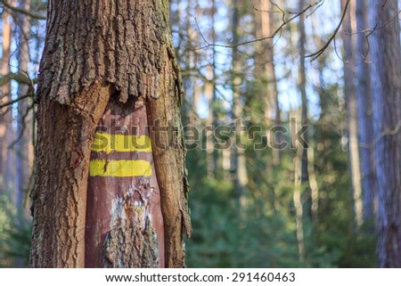 Tourist sign on a tree