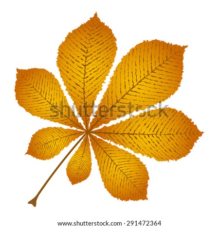 autumn leaf chestnut