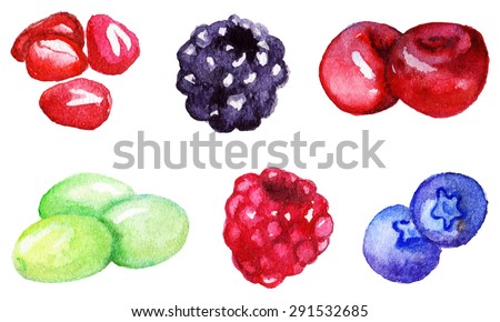 Watercolor pomegranate blackberry cherry grape raspberry blueberry set vector isolated