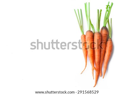 Carrot vegetable with leaves isolated on white