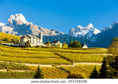 vineyards below church at Conthey, Sion region, canton Valais, Switzerland Royalty-Free Stock Photo #291598508
