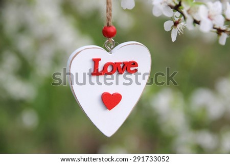 Heart in the blossom nature background