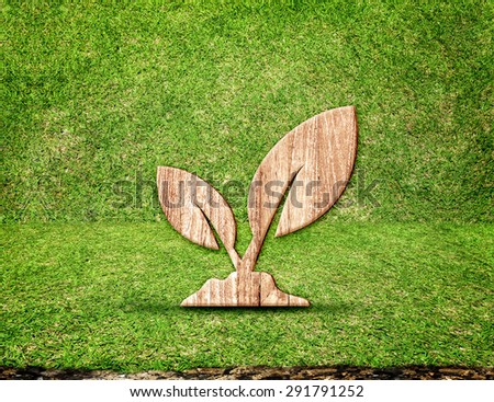 Plant wood icon and heart shape inside in grass room,Eco concept.