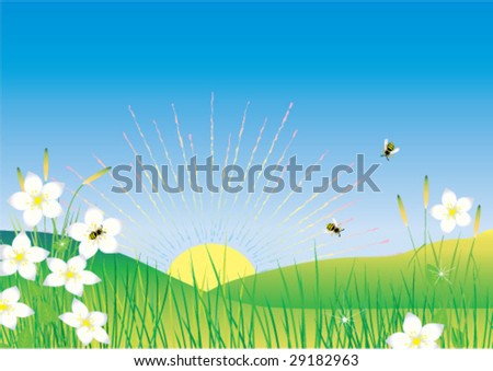 Rising sun, green feald with bees collecting honey, blue sky