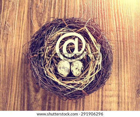 egg with mail sign with eggs in nest