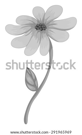 Poster of a single flower in gray color on a white background