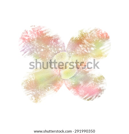 beautiful flower   colorful  background