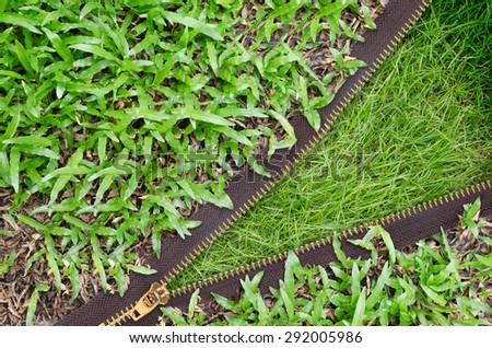 green grass texture concepts zippers Change