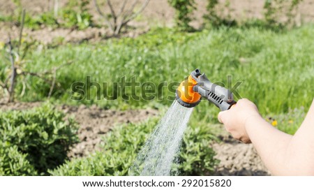 Watering water from a hose of various plants on a background of green garden