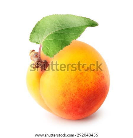 Yellow apricot with leaf isolated on white background