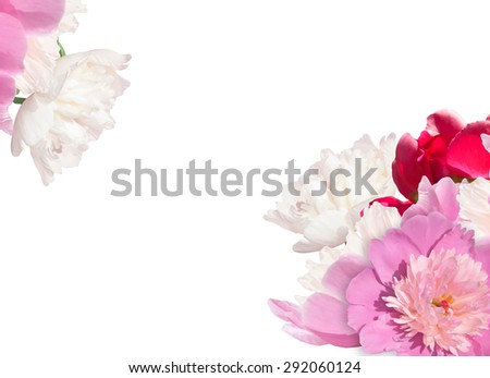 Red, pink, white peonies. LIght flower background