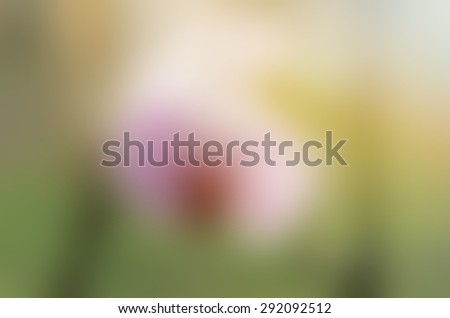 Blurred defocused background photo of the flower 