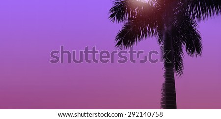 Bright design banner background with coconut palm tree. Exotic landscape.