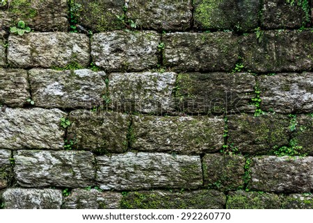 Old Brick Wall With Moss Royalty-Free Stock Photo #292260770