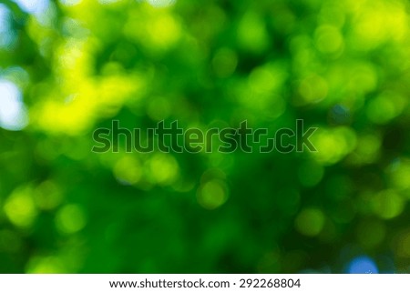 Abstract landscape of defocused summer forest, photo useful as background.