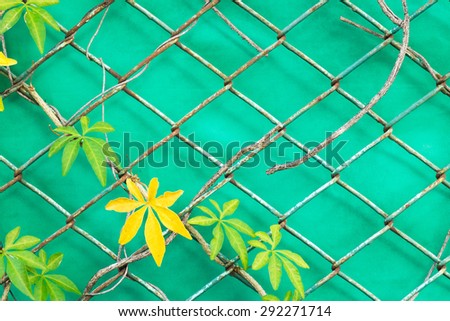 climber on wire mesh steel with green background