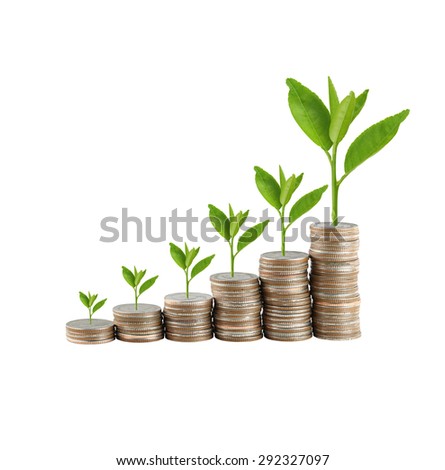 silver coin stack and treetop in concept of business growth on white background.