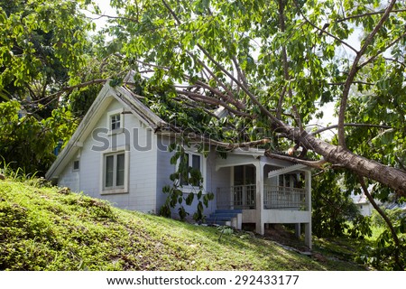 falling tree after hard storm on damage house  Royalty-Free Stock Photo #292433177